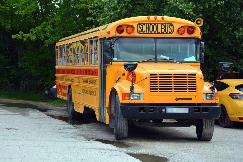 International 3800 Bus Specs, Dimensions & Weight