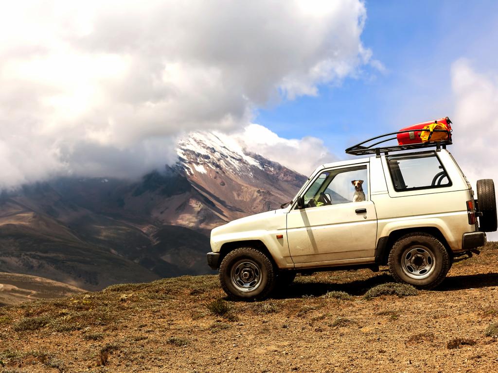 What Will Import Taxes Cost If I Ship a Car from the US to Ecuador?