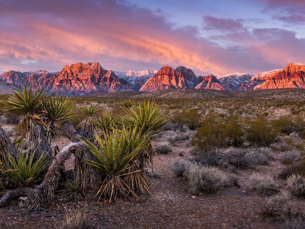 Nevada Nv