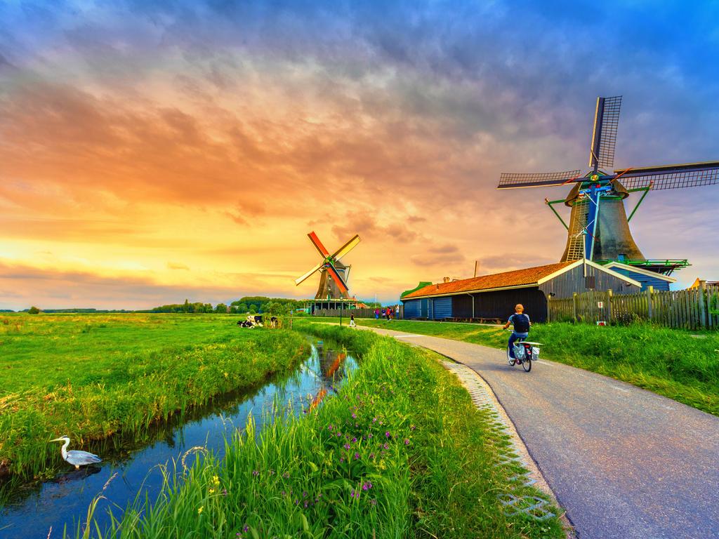 Moving To Netherlands