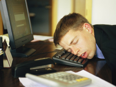 How To Deal With Post-Moving Fatigue In Pets