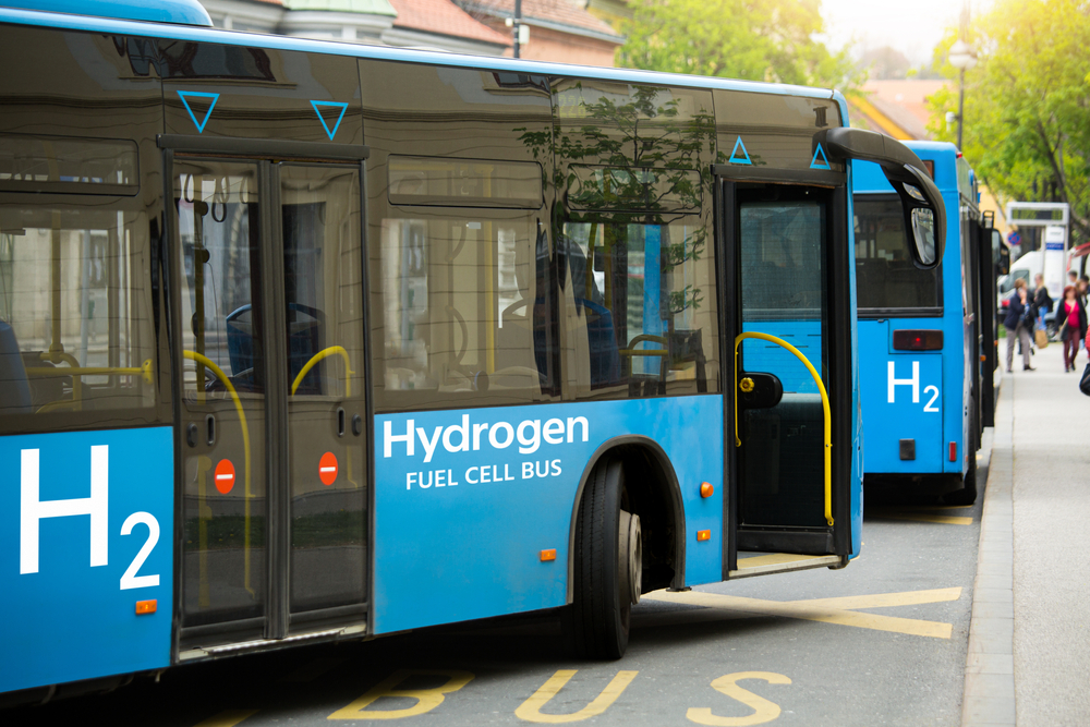Hydrogen Fuel Cell Evs And Battery-powered Evs