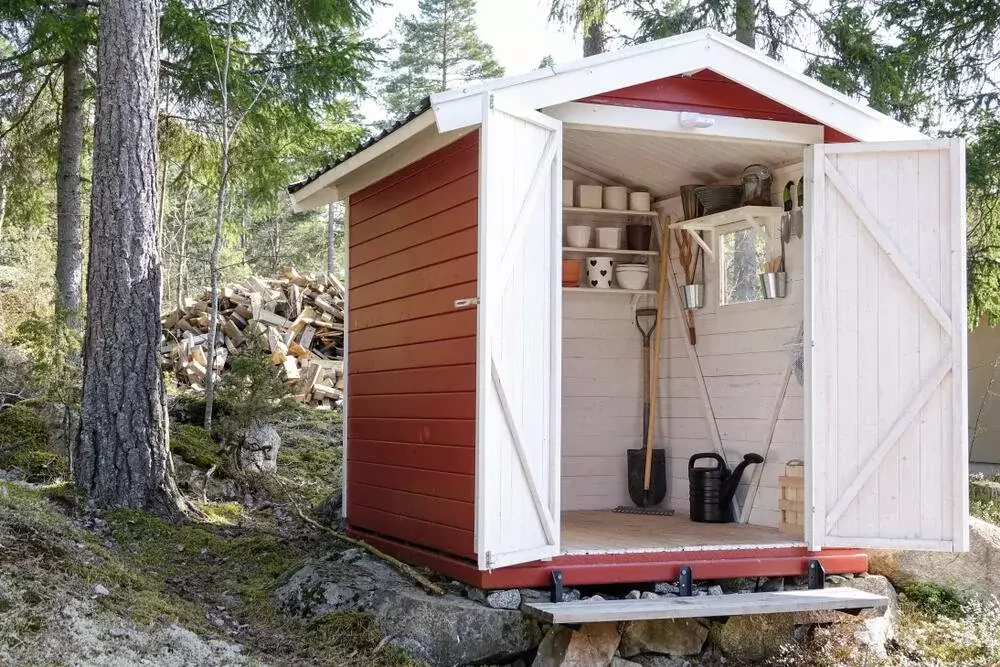 small shed stands in the woods
