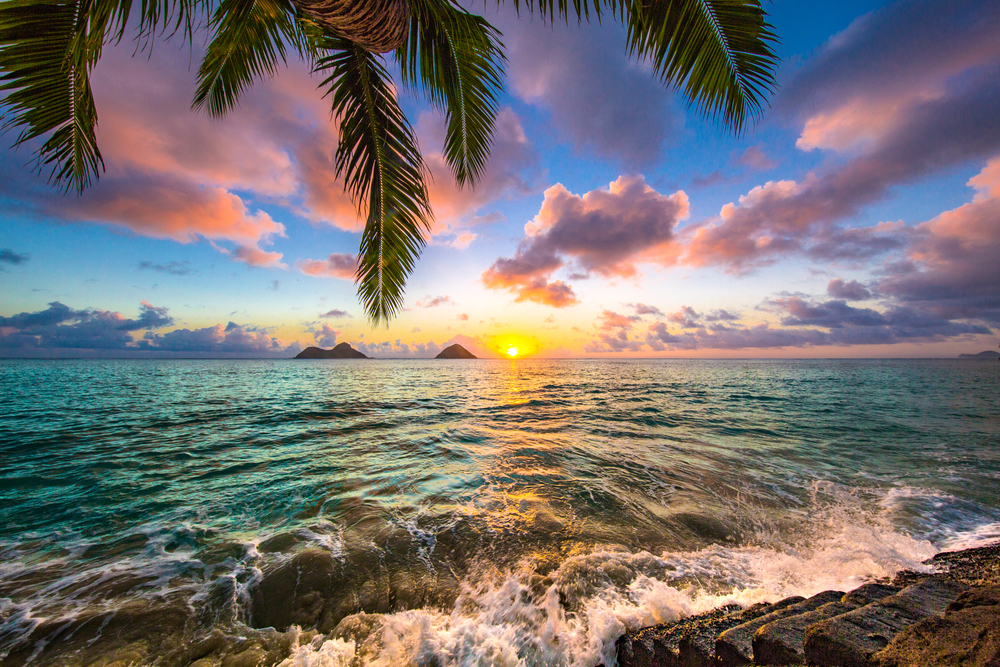 The Available Motorcycle Shipping Services from Hawaii