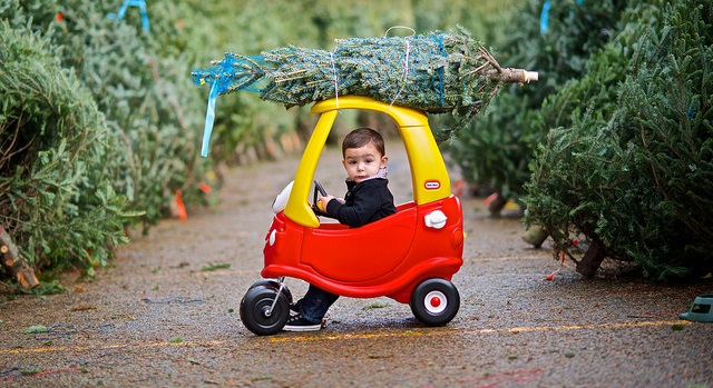 How to safely transport your Christmas tree