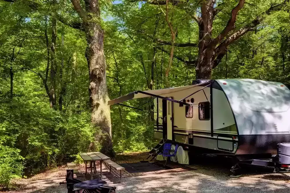 camper is stationed in a forested area