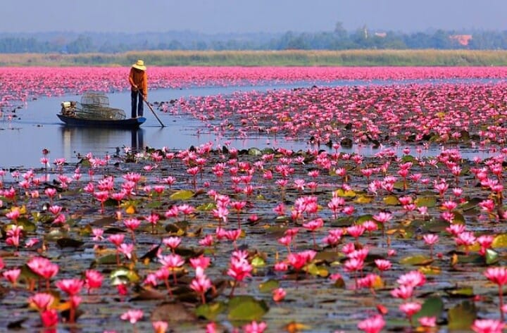 Ship Car To Udon Thani