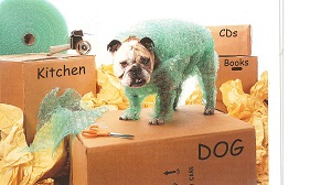 Cheap Movers In Garden City