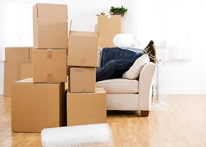 Cheap Movers In Batavia