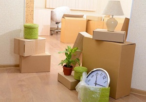 Cheap Movers In Canton