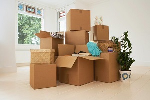 Should You Tip Your Mover For A Job Well Done?