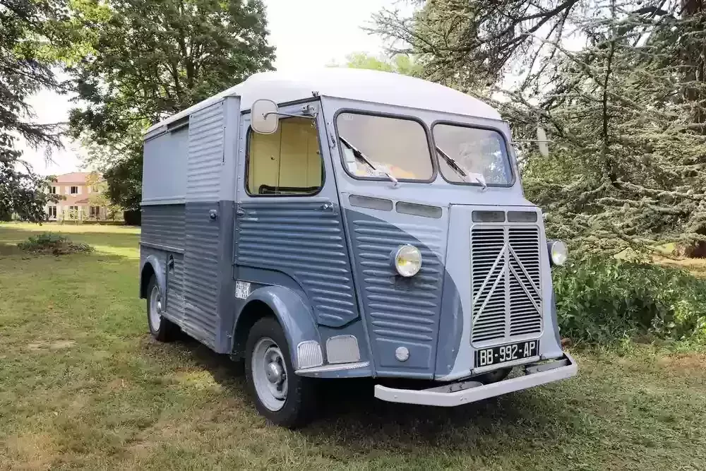 old blue van parked on a grassy area