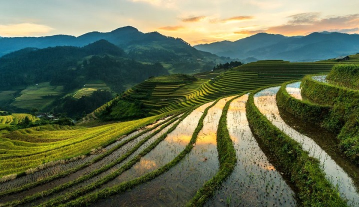 Is It Possible to Have a Used Car Shipped from the US to Vietnam?