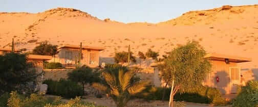 What Is the Safest Shipping Method to Send a Car to the Western Sahara?