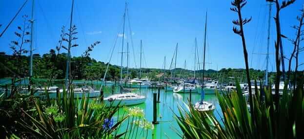 Ship Car To Whangarei