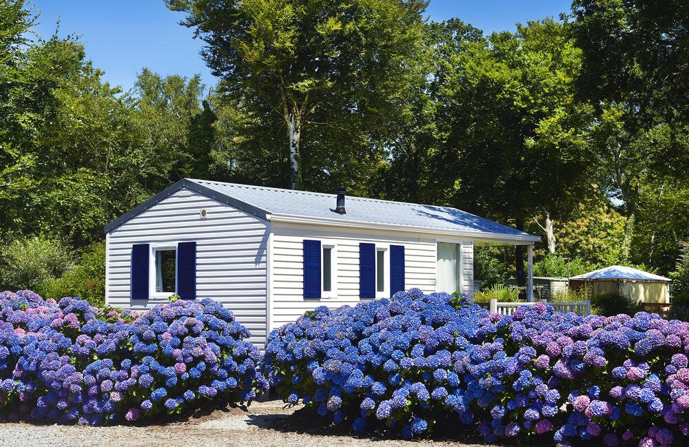 what-factors-play-their-part-in-determining-the-overall-cost-of-your-mobile-homes-move.jpg