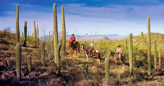Wickenburg