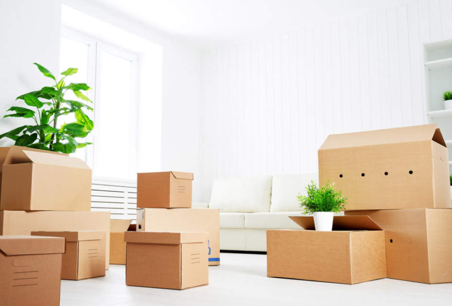 Cheap Movers In Panama City