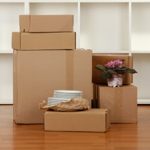Cheap Movers In Waterloo
