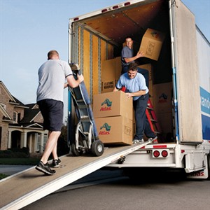 Cheap Movers In Shelbyville